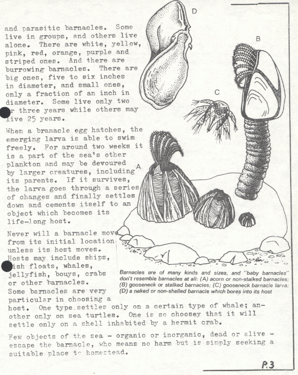 page scan
