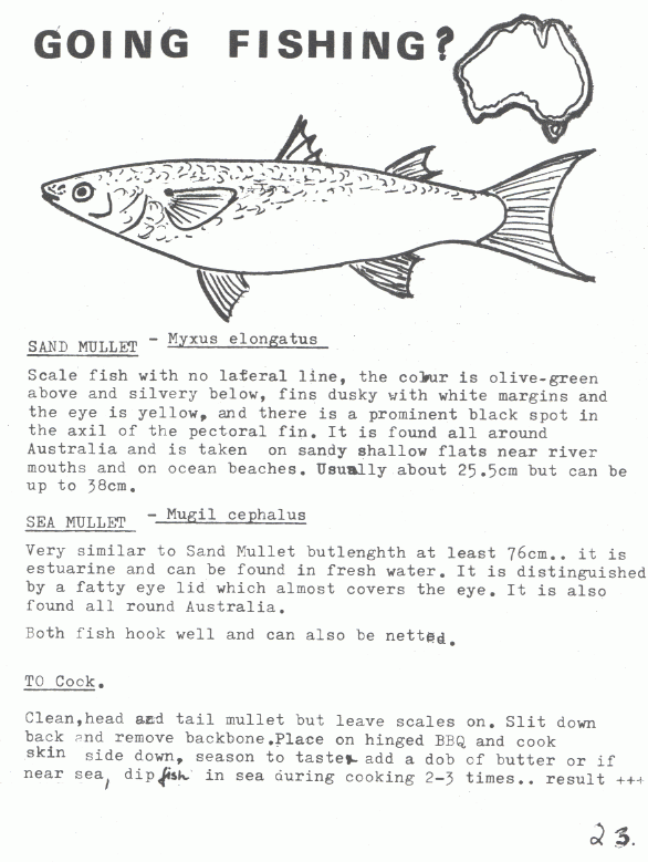 page scan
