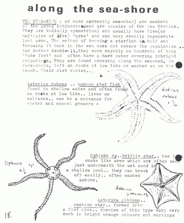 page scan