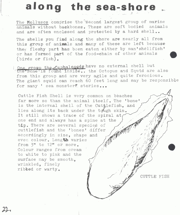page scan
