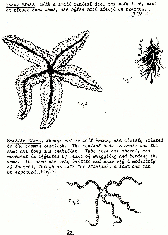 page scan