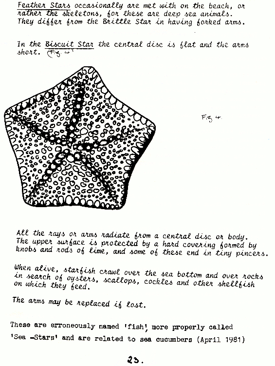 page scan