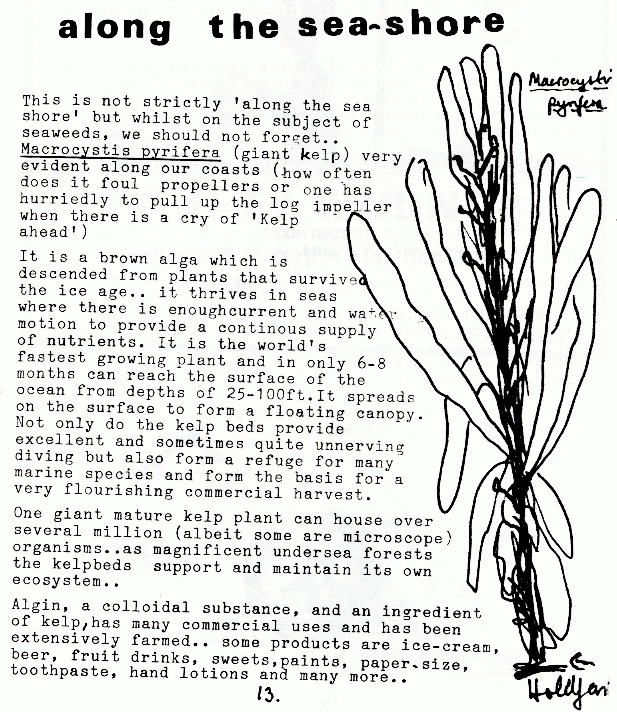 page scan