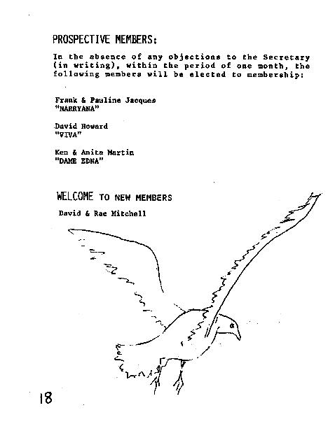page scan