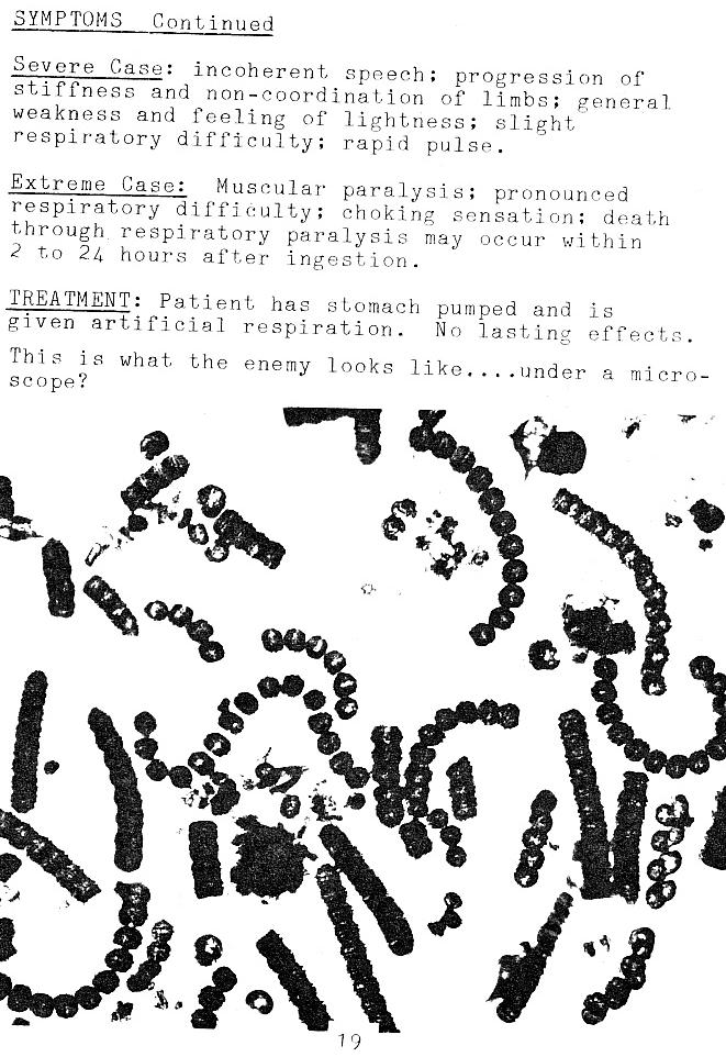 page scan